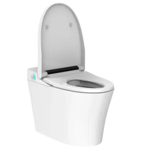 Série PS&PH760 Toilettes intelligentes